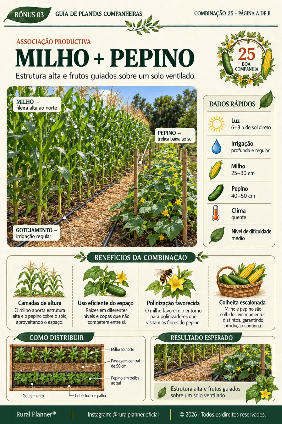 Amostra de projeto rural 21